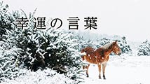 幸運の言葉 第20回
「『こころの四季』20」